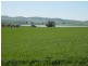 * 384.5ha Harvey’s 950acs, Farrell Flat SA 5416