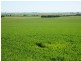 * 384.5ha Harvey’s 950acs, Farrell Flat SA 5416