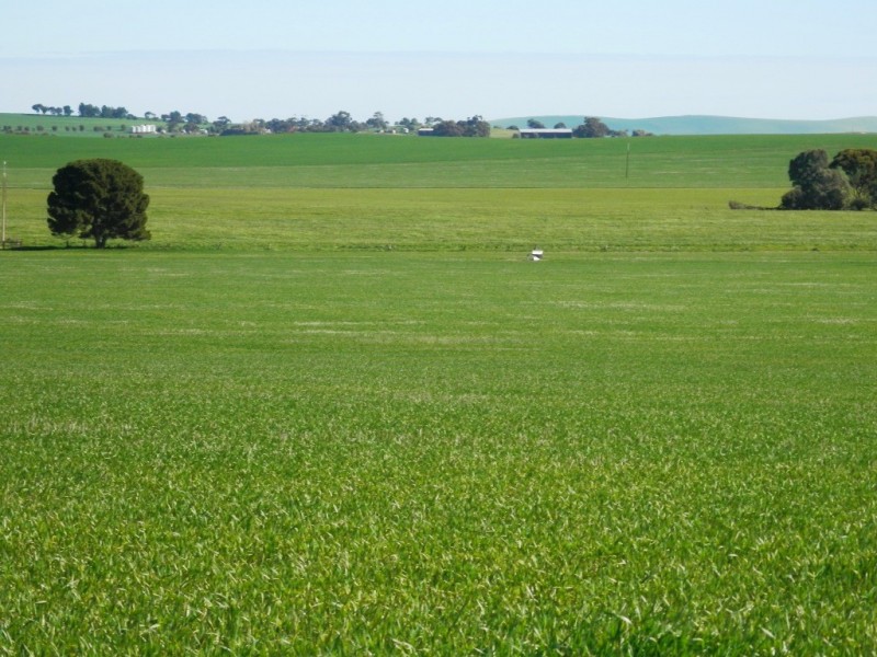 * 384.5ha Harvey’s 950acs, Farrell Flat SA 5416