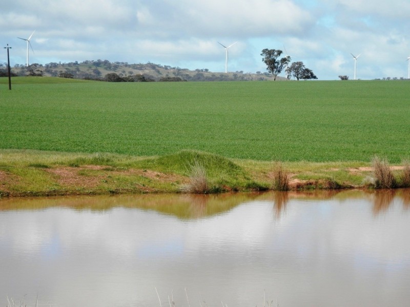 * 148ha Harvies 366acs, Waterloo SA 5413