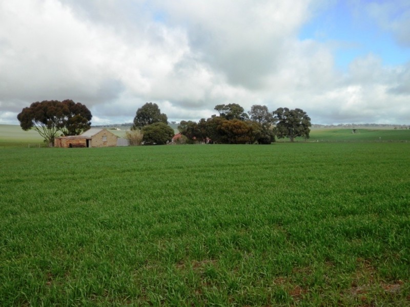 * 148ha Harvies 366acs, Waterloo SA 5413