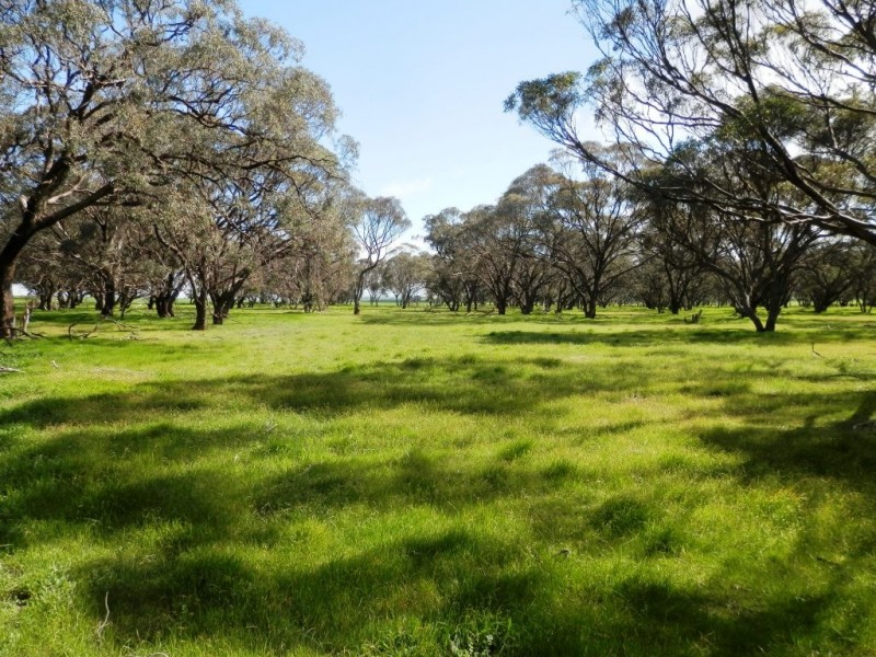 * 148ha Harvies 366acs, Waterloo SA 5413