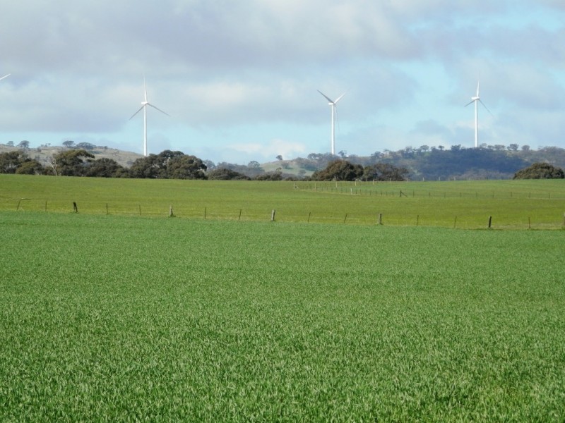 * 148ha Harvies 366acs, Waterloo SA 5413