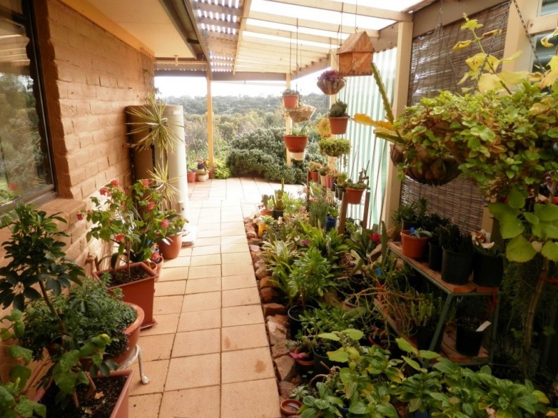 16 Hartley Road, Clare SA 5453