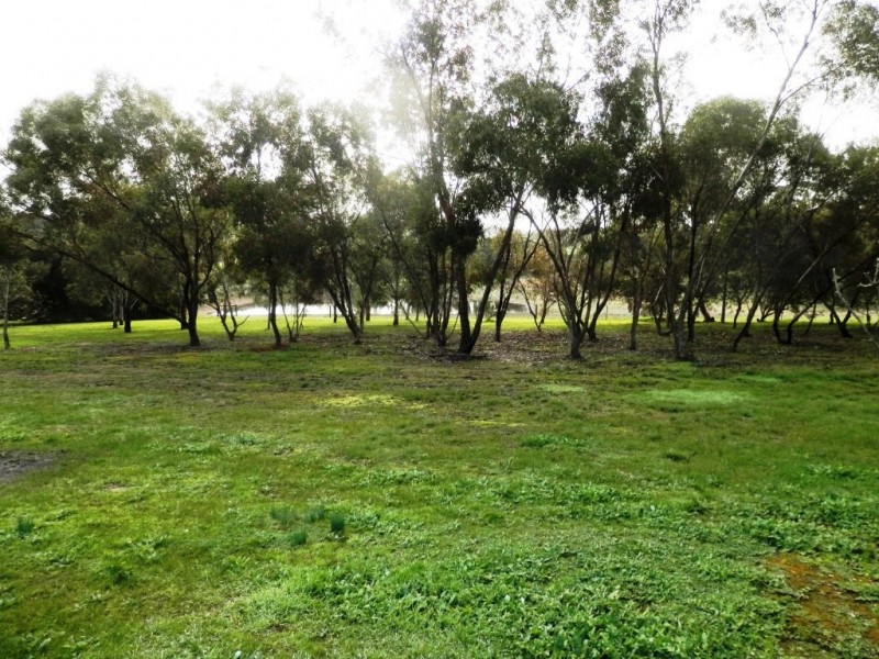 16 Hartley Road, Clare SA 5453