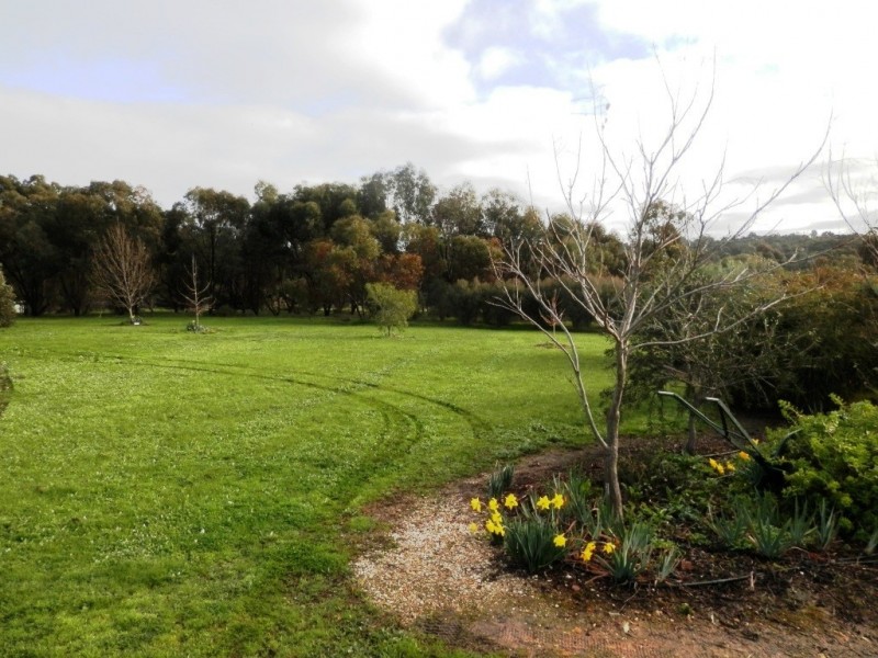 16 Hartley Road, Clare SA 5453