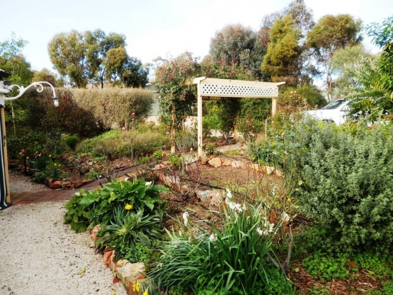 16 Hartley Road, Clare SA 5453