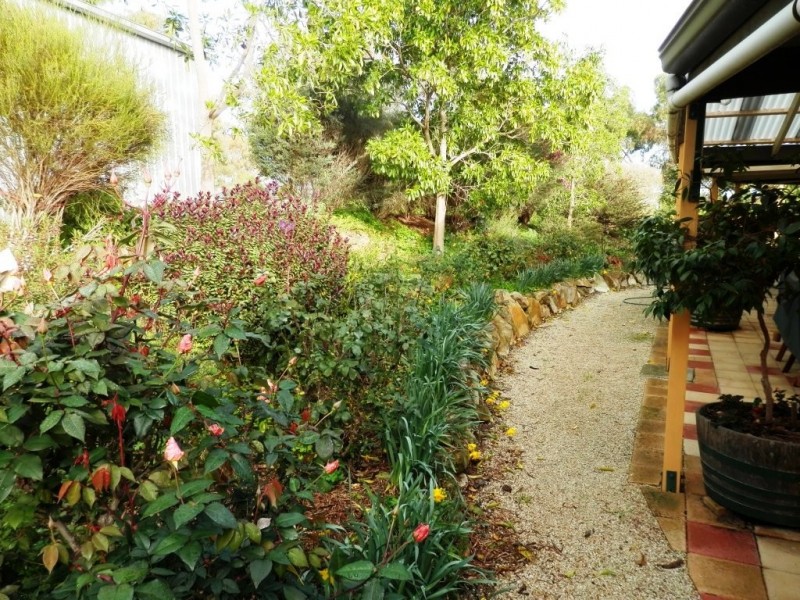 16 Hartley Road, Clare SA 5453