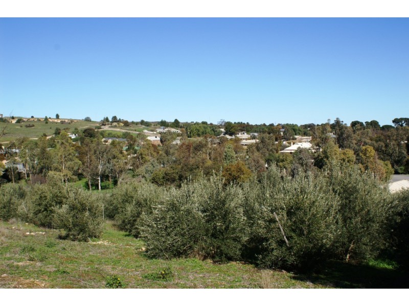 Lt 73,74,83,84 Crowan Street, Burra SA 5417