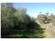Lt 73,74,83,84 Crowan Street, Burra SA 5417
