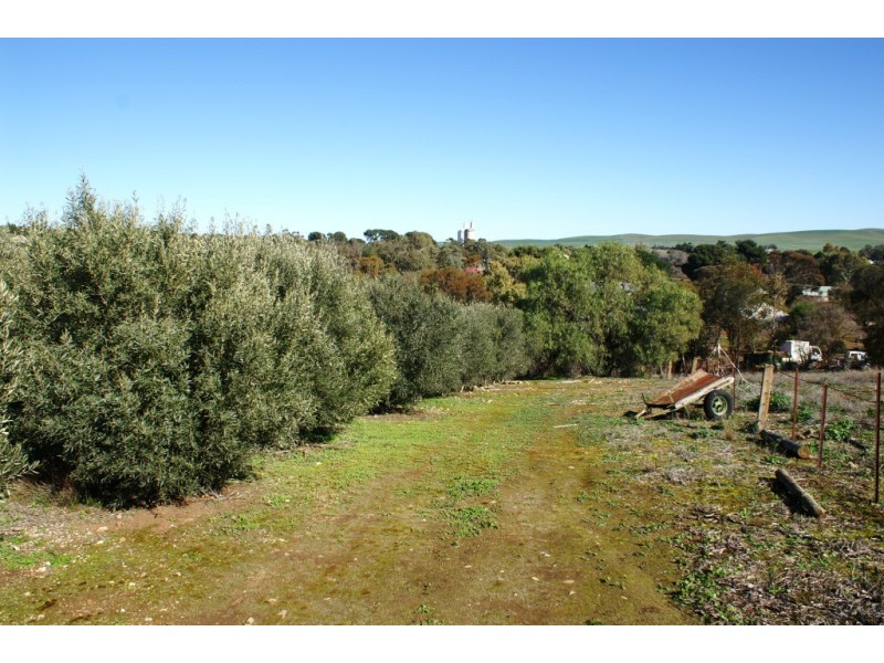 Lt 73,74,83,84 Crowan Street, Burra SA 5417