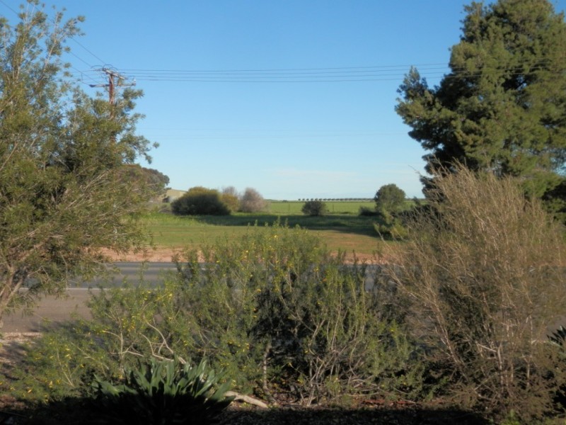 37 South Terrace, Blyth SA 5462