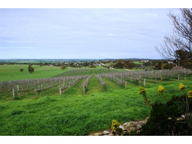 Lot 57 – 56 and Sec 10 -15, Auburn SA 5451