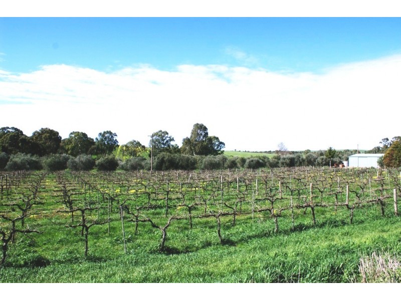 Lot 57 – 56 and Sec 10 -15, Auburn SA 5451