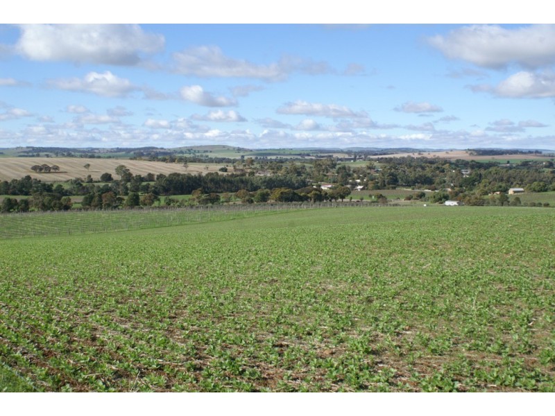 Lot 57 – 56 and Sec 10 -15, Auburn SA 5451