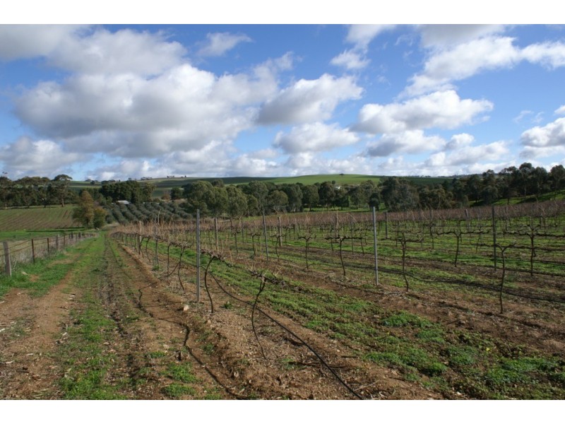 Lot 57 – 56 and Sec 10 -15, Auburn SA 5451