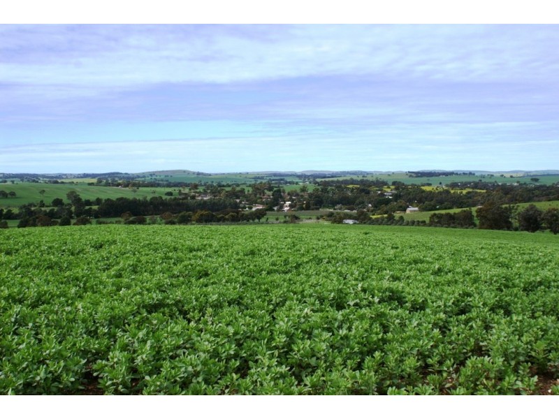 Lot 57 – 56 and Sec 10 -15, Auburn SA 5451