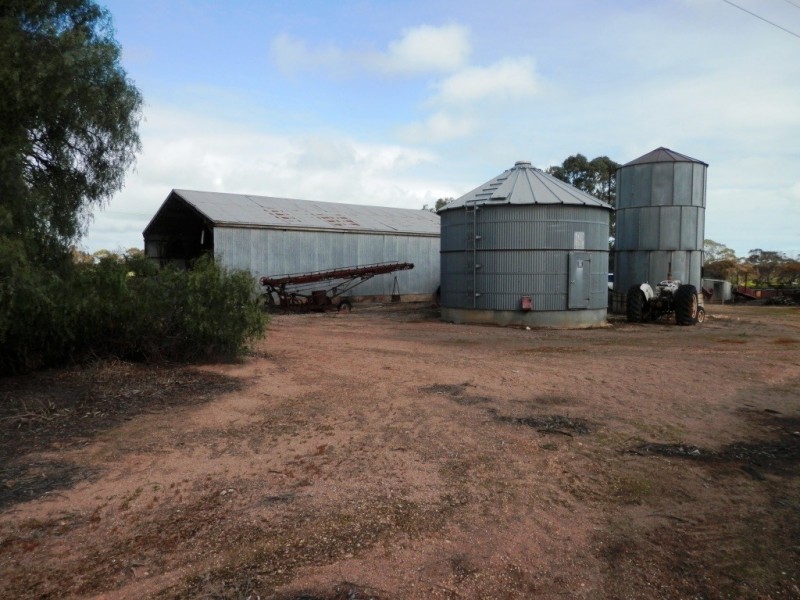 * 393HA Kerleys 971.5ACS, Bute SA 5560