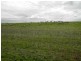 * 393HA Kerleys 971.5ACS, Bute SA 5560