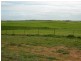 * 393HA Kerleys 971.5ACS, Bute SA 5560