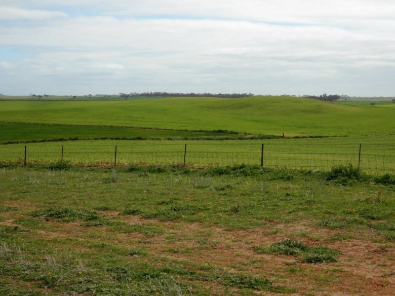 * 393HA Kerleys 971.5ACS, Bute SA 5560