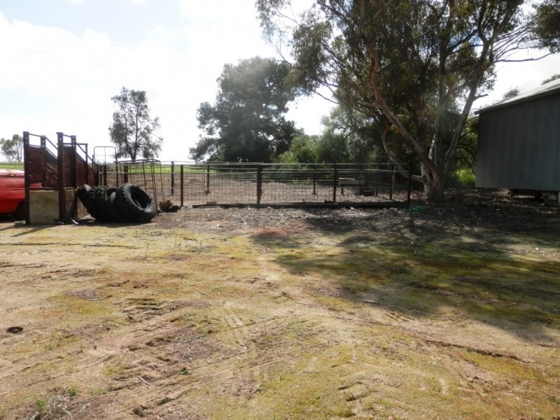 * 393HA Kerleys 971.5ACS, Bute SA 5560