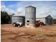 * 393HA Kerleys 971.5ACS, Bute SA 5560