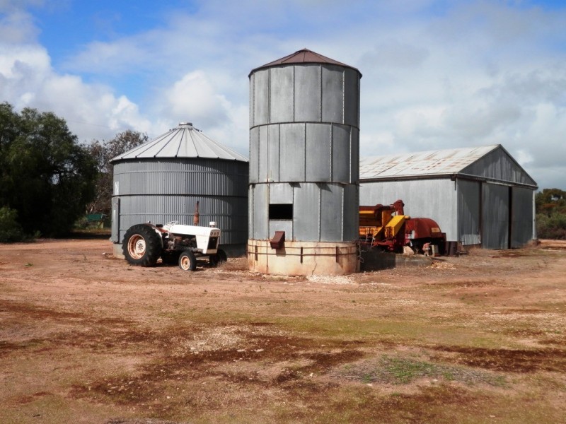 * 393HA Kerleys 971.5ACS, Bute SA 5560