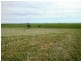 * 393HA Kerleys 971.5ACS, Bute SA 5560
