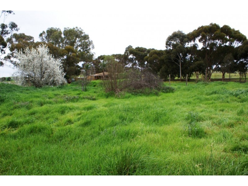 Lot 13 Staveley Street, Farrell Flat SA 5416