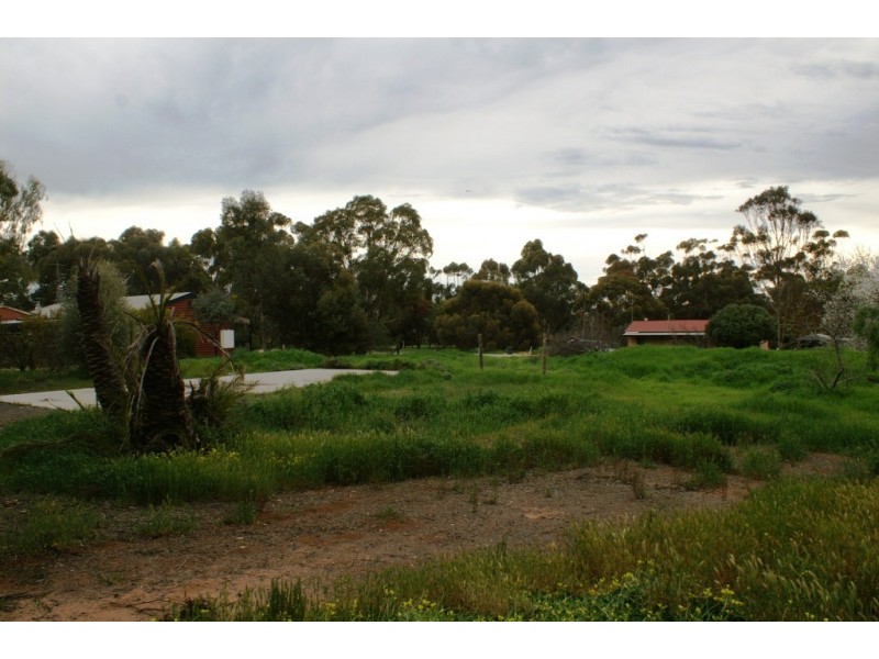Lot 13 Staveley Street, Farrell Flat SA 5416