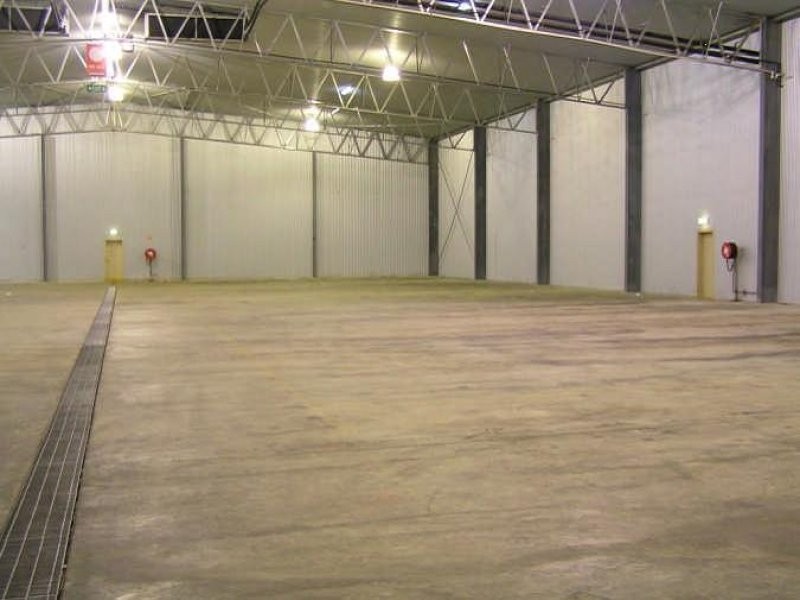 4 Archer Place, Clare SA 5453