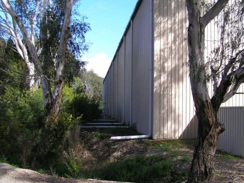 4 Archer Place, Clare SA 5453