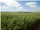 * 212.4ha Rohrlachs 525acs, Hilltown SA 5455