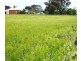 * 212.4ha Rohrlachs 525acs, Hilltown SA 5455