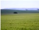 * 212.4ha Rohrlachs 525acs, Hilltown SA 5455