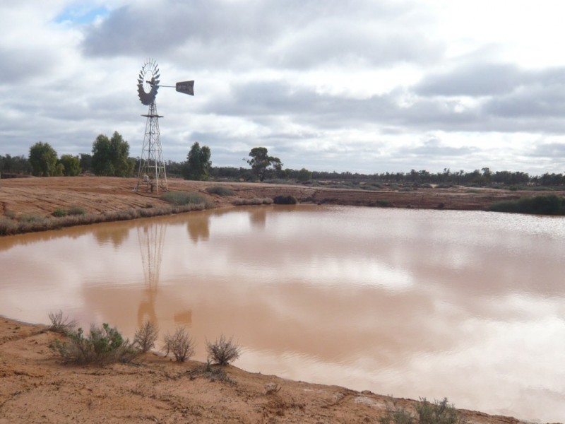 * 101,000ha Pine Valley Station 1,010km2, Burra SA 5417