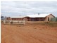 * 101,000ha Pine Valley Station 1,010km2, Burra SA 5417