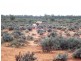 * 101,000ha Pine Valley Station 1,010km2, Burra SA 5417