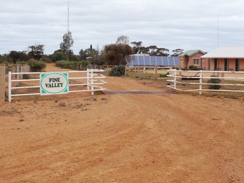 * 101,000ha Pine Valley Station 1,010km2, Burra SA 5417