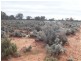 * 101,000ha Pine Valley Station 1,010km2, Burra SA 5417
