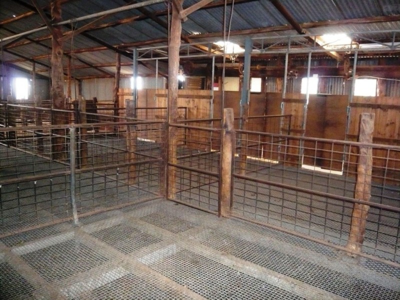 * 101,000ha Pine Valley Station 1,010km2, Burra SA 5417