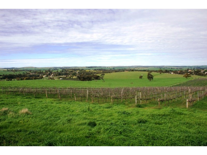 56 and 57 Denis Street, Auburn SA 5451