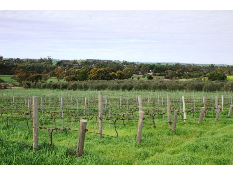 56 and 57 Denis Street, Auburn SA 5451