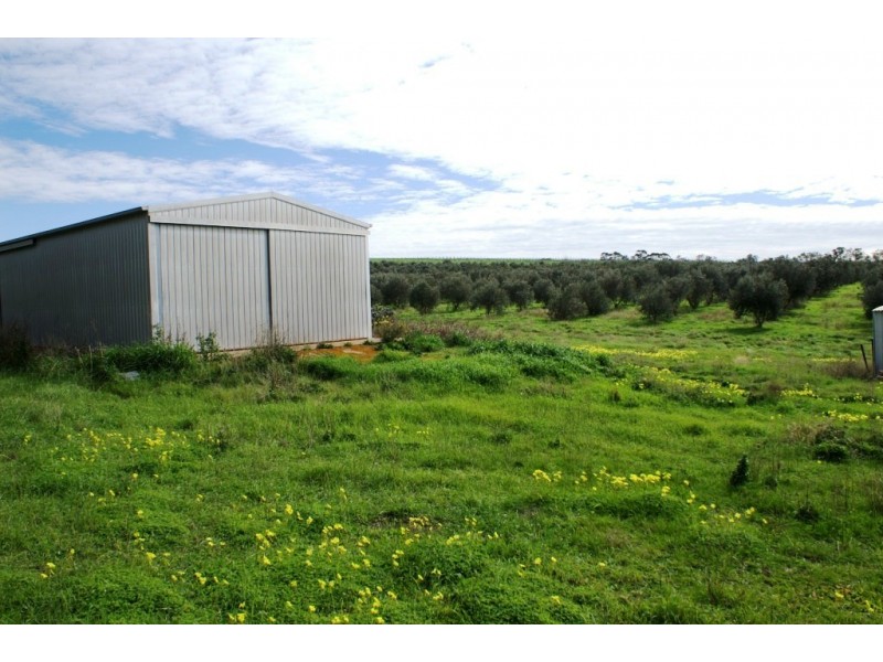 56 and 57 Denis Street, Auburn SA 5451