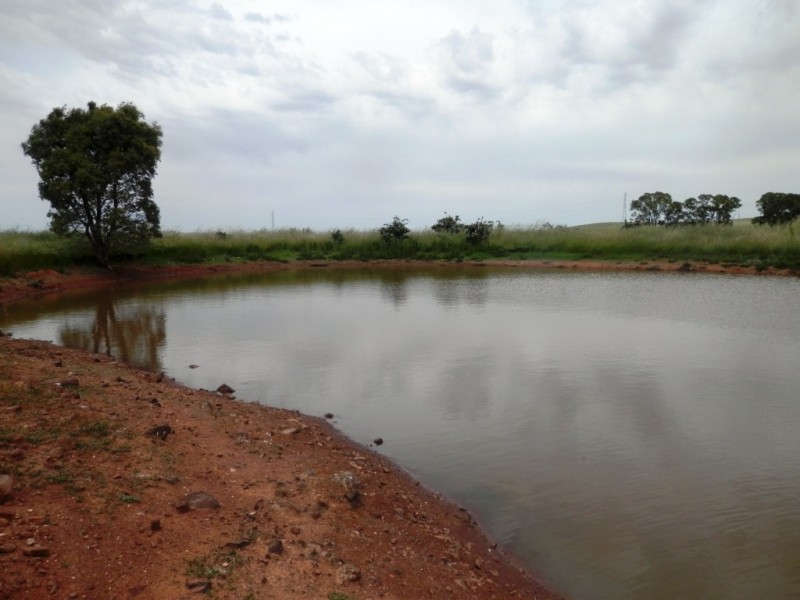 * 76.08ha “Baynes”, Jamestown SA 5491