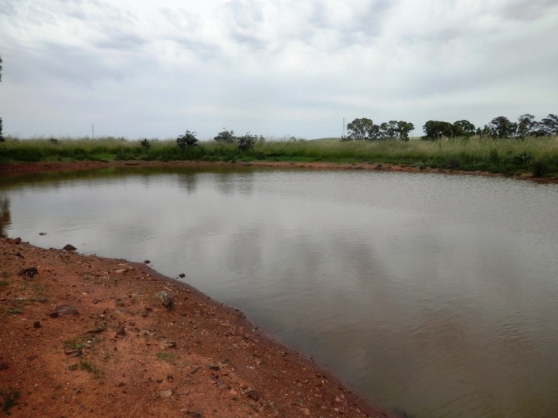 * 76.08ha “Baynes”, Jamestown SA 5491