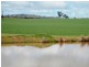 * 101ha Webbs” 251acs, Waterloo SA 5413