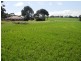 * 101ha Webbs” 251acs, Waterloo SA 5413