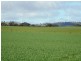 * 101ha Webbs” 251acs, Waterloo SA 5413